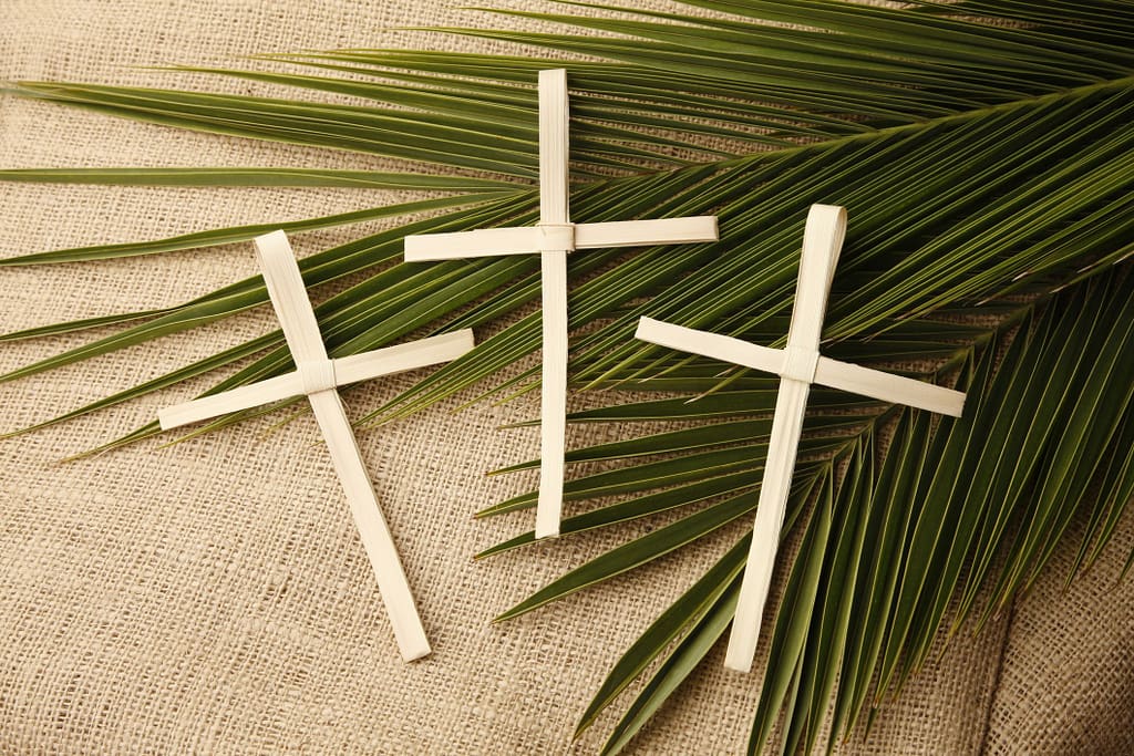 Palm Leaves Cross